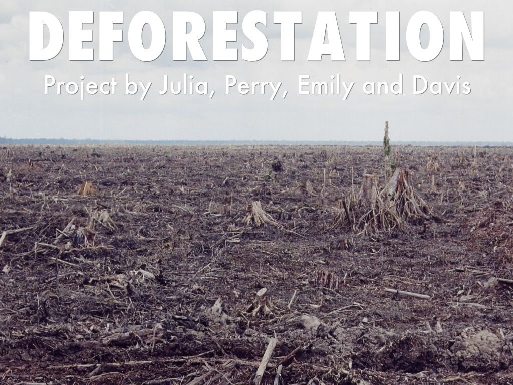 Copy Of Deforestation By Julia Nagel copy-of-deforestation-by-julia-nagel